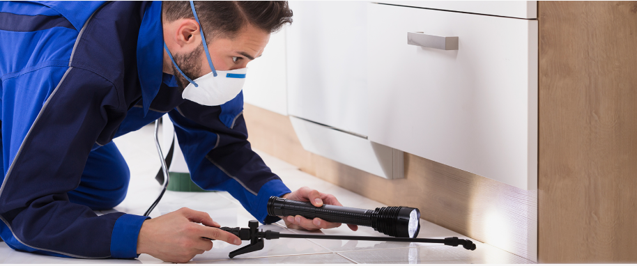 Marion pest xpert removal