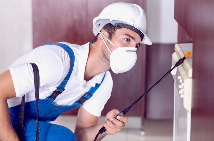 Marion local pest services